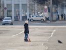 Путин проведет совещание с губернаторами во вторник: возможно, президент продлит режим нерабочих дней