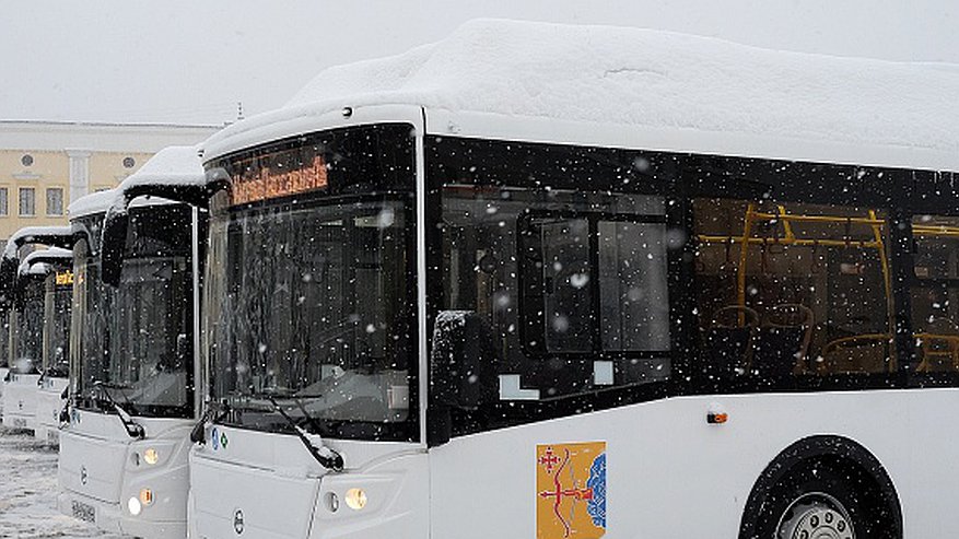 Главная картинка новости: В Кирове в декабре будут курсировать 10 новых автобусов: известны маршруты