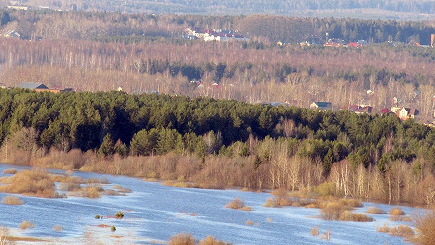 Главная картинка новости: Выплаты на детей, бесплатные обеды и легкое банкротство: что изменится для россиян в сентябре