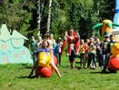 Прокуратура установила истинную причину отравления детей в «Усадьбе Ивана Царевича»