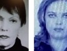 Поиски длятся уже неделю: родственники пропавших в Лузском районе предлагают деньги за помощь