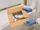 В Киров поступила вакцина от ковида: как ее получить и где записаться