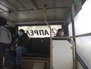 В Кировской области за сутки выявили 282 заболевших COVID-19