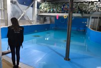 В кировском аквапарке утонул ребенок: возбуждено уголовное дело