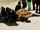 На Театральной площади  лошадь 3 часа билась в предсмертной агонии 