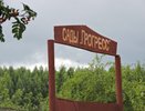 Чиновники: от коронавируса россиян спасут дачи и огороды