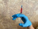 Исследования вакцины от COVID-19 пройдут в Кирове