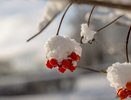 В Кировскую область грядёт похолодание и снег