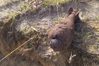 В Кировской области женщина нашла в огороде боеприпас