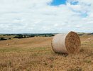 Скончался житель Афанасьевского района, которого "закрутили" в рулон сена