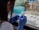 Новый день — новые рекорды: известно число заболевших COVID-19 в регионе за сутки