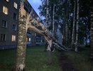 Деревья вырывало с корнем: жители Кирова пережили мощный ураган