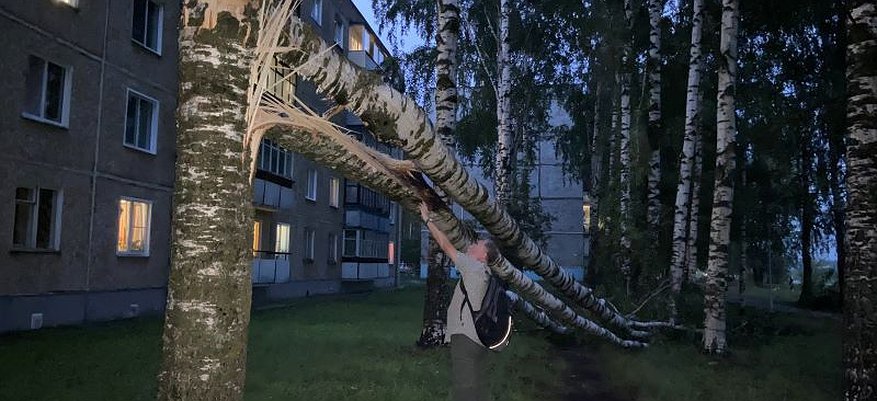 Деревья вырывало с корнем: жители Кирова пережили мощный ураган