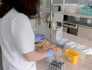 В России разработали экспресс-тест на коронавирус, который дает результат за 40 минут