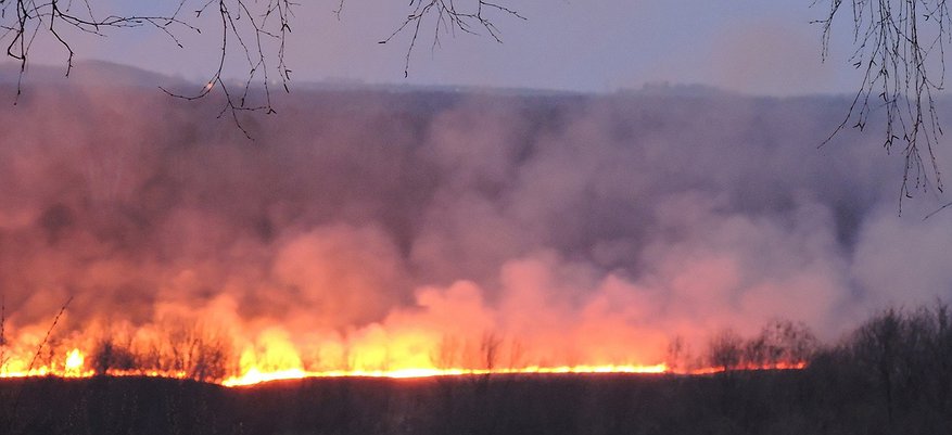 МЧС Кировской области объявило о высокой пожарной опасности