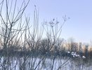 Синоптики рассказали, какие аномалии ожидают россиян