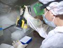 Известно, сколько кировчан заразилось штаммом «омикрон» в 2022 году