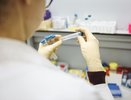 За сутки в Кировской области выявили больше 200 зараженных ковидом