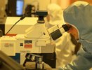 У жителя Советского района выявили коронавирус