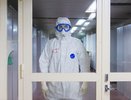 В «Векторе» рассказали о происхождении вируса COVID-19