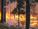 В Кировской области вновь 4 уровень пожароопасности
