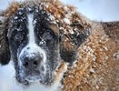 Кировчан предупредили о морозах до -18 на выходных
