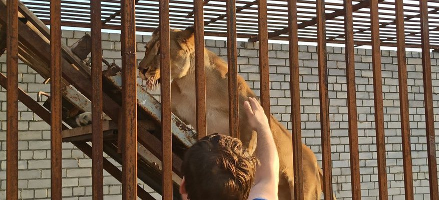 Полтонны мяса в месяц на еду кировчанин рассказал о