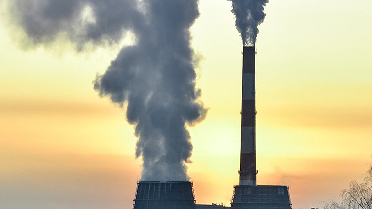 Главная картинка новости: Проверка законности и сборы подписей: кировчане борются против строительства крематория