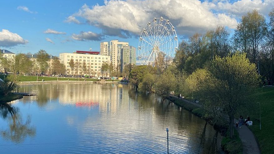 Главная картинка новости: В кировском цирке артистка упала из-под купола