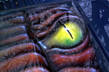 «Город Киров»: