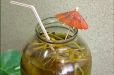 Город Киров:Решаем дилемму: ехать или отдыхать