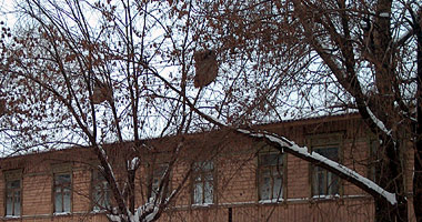 612 крыш Кирова терпят бедствие