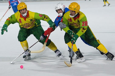 Владимир Стариков исчерпал запас нецензурных слов