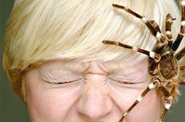 «Город Киров»:Фобии здоровых людей, или Чего мы боимся?