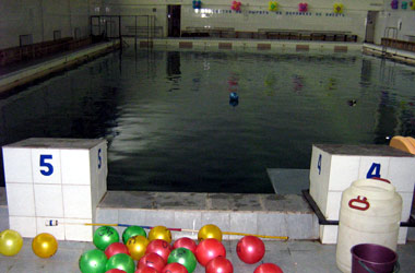 В  бассейне «Родина» плещутся дельфины