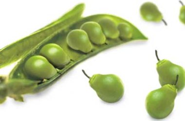 «Город Киров»:Кировские продукты питания: генетическая угроза?