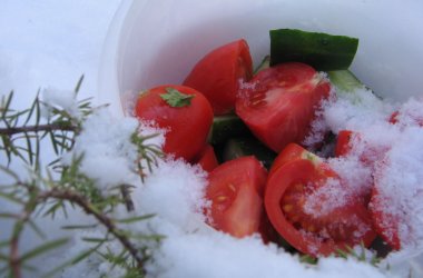 «Город Киров»:Кировские продукты питания: генетическая угроза?