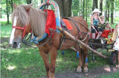 Cабантуй в Кирове