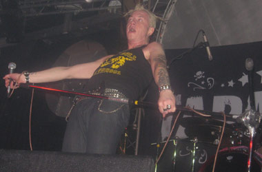 На концерте группы «Тараканы!» люди роились, словно насекомые