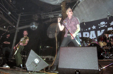 На концерте группы «Тараканы!» люди роились, словно насекомые