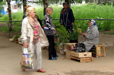 Посчитаем будущую пенсию!