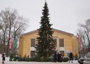 Город Киров:Елки Кирова