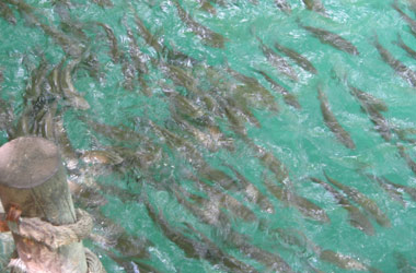 В номинации «уложиться в 500 баксов»: Турция надоела,… едем в Турцию